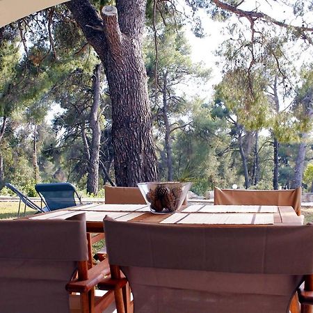 4 Bedroom Villa With Pool And Garden Неа-Фокеа Экстерьер фото
